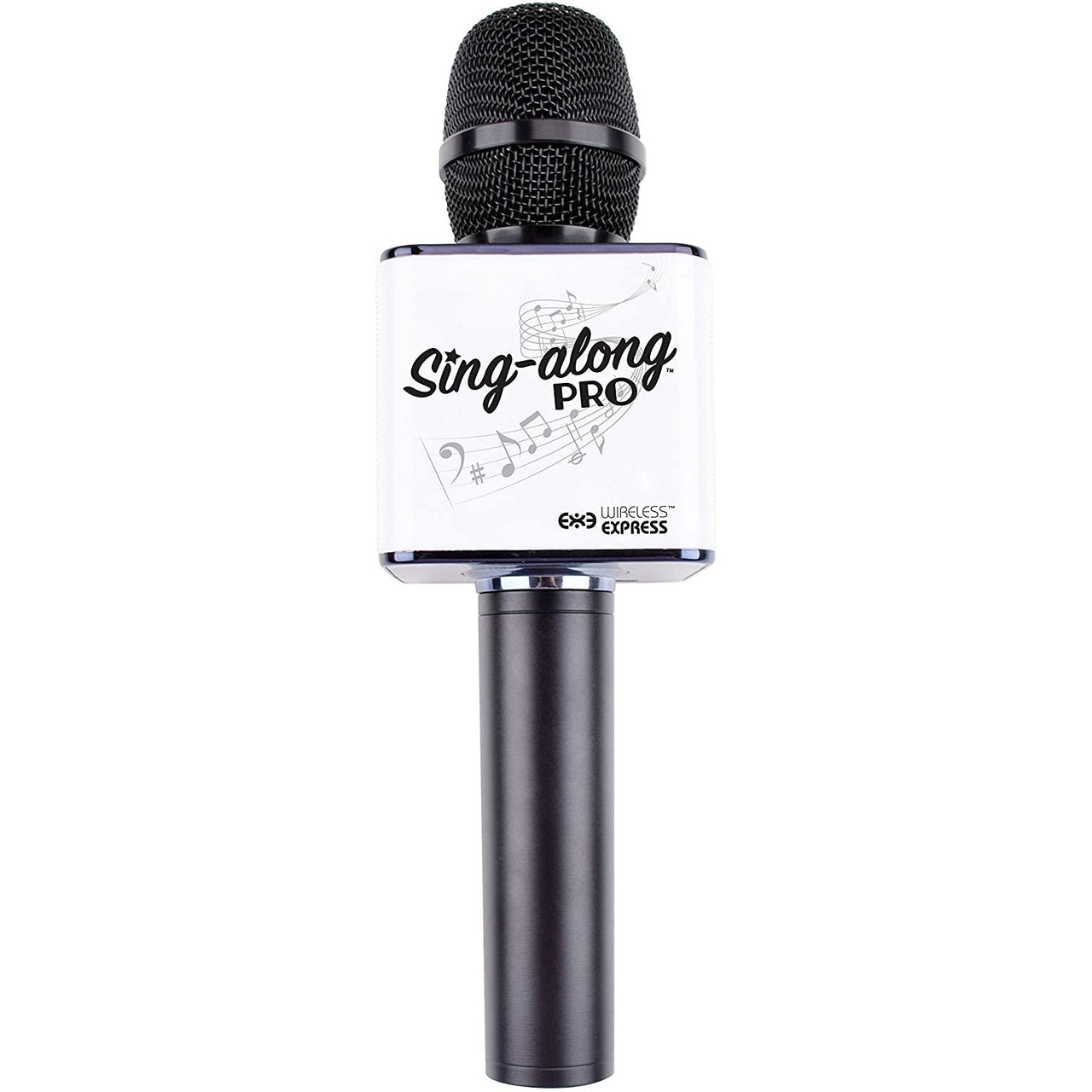 sing A long microphone